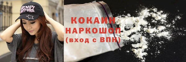 крисы Слюдянка
